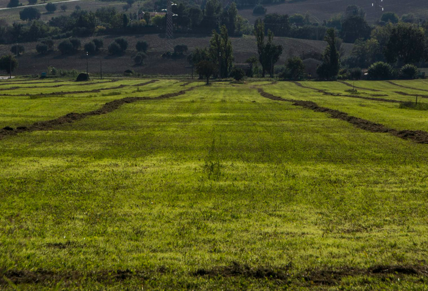 Parcelas-y-fincas-rusticas